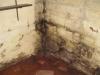 Water intrusion in basement creating mold like stains